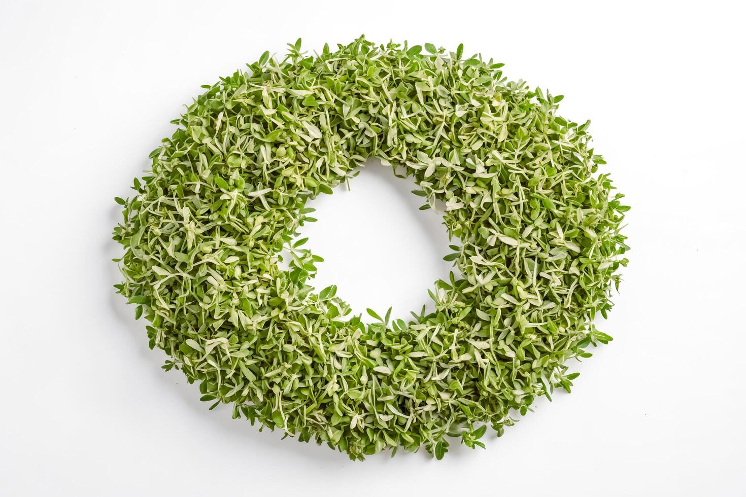 Green Sprout Wreath photo