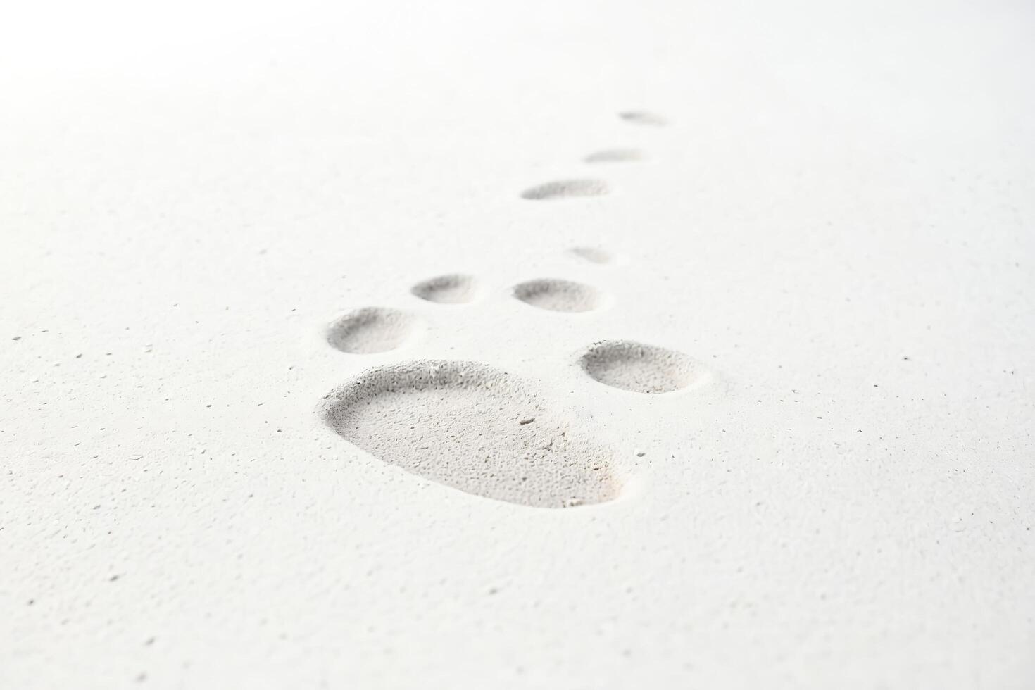 Footprints in the Sand photo