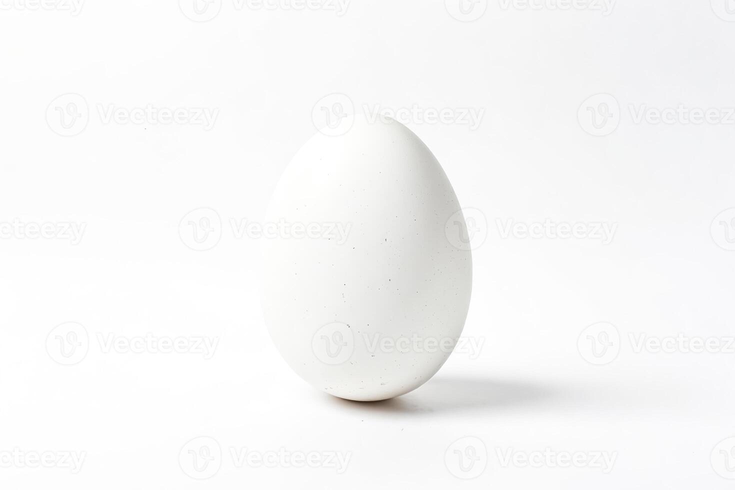 Single White Egg on White Background photo