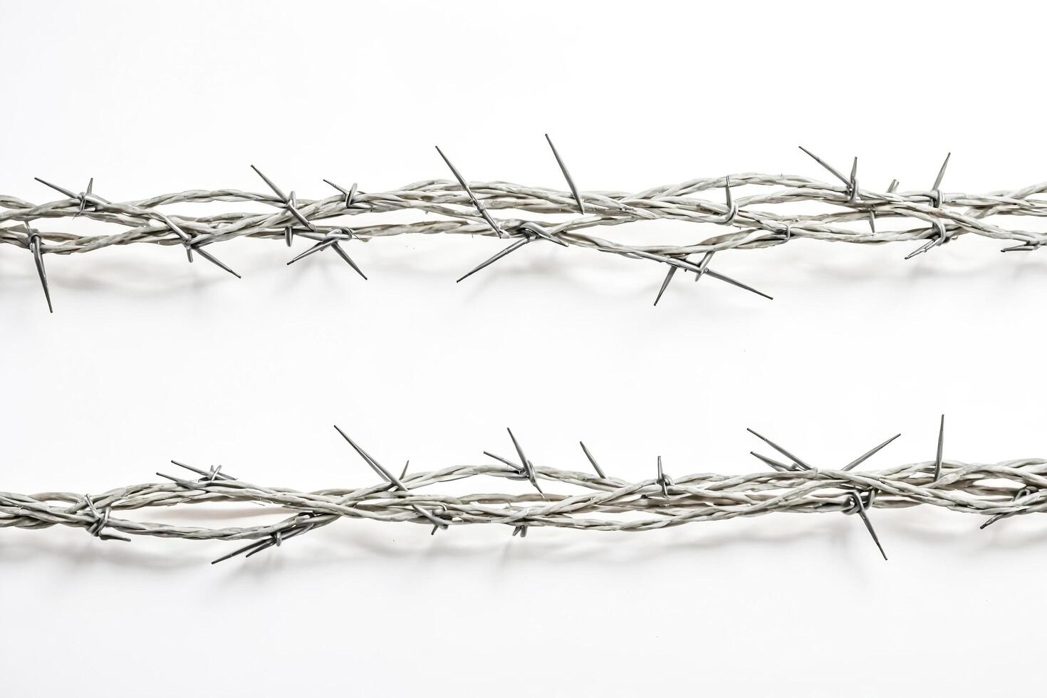 Barbed Wire Frame photo