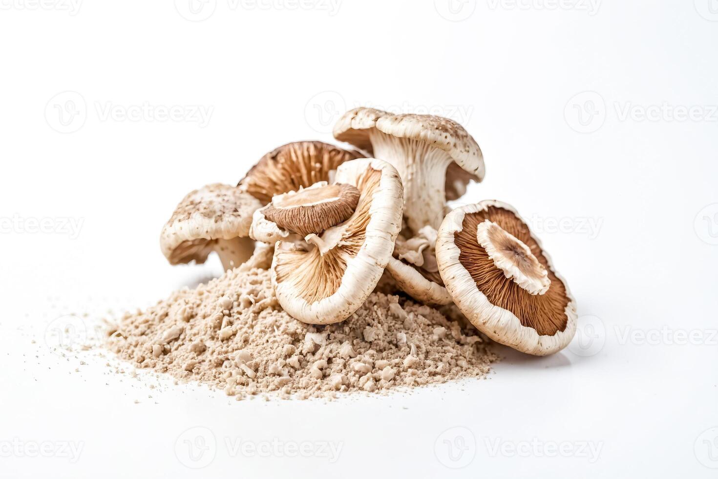 Close-up of Fresh Mushrooms with Powdered Mushroom photo