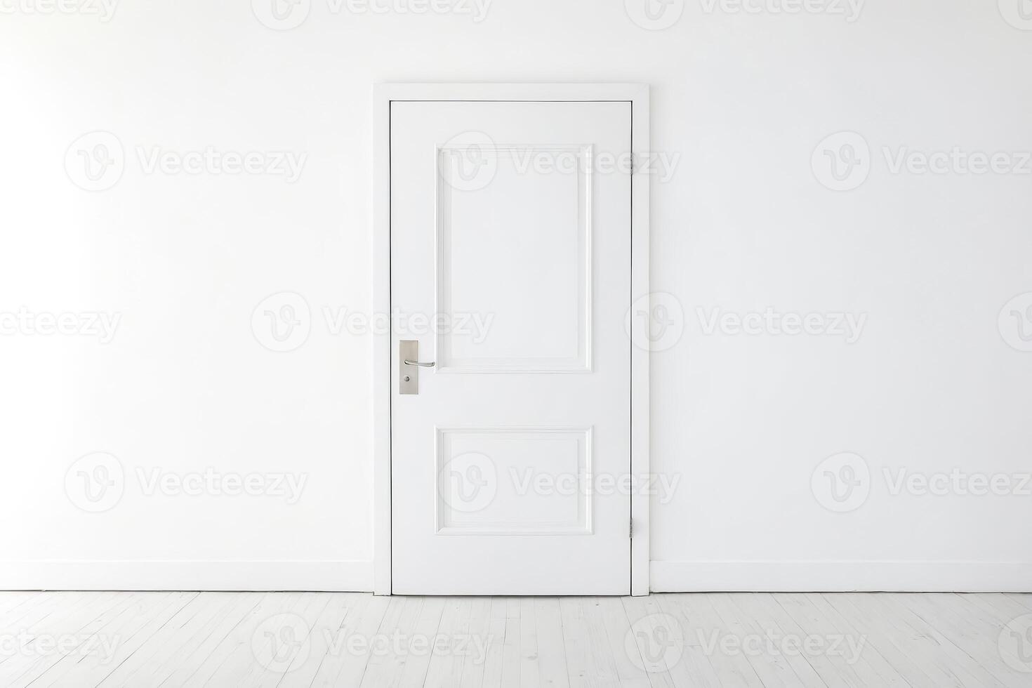 White Door in a White Room photo