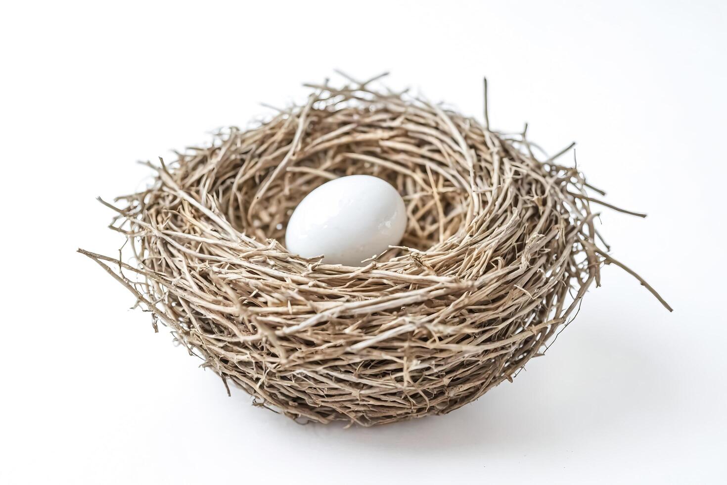 Single white egg in a bird's nest photo