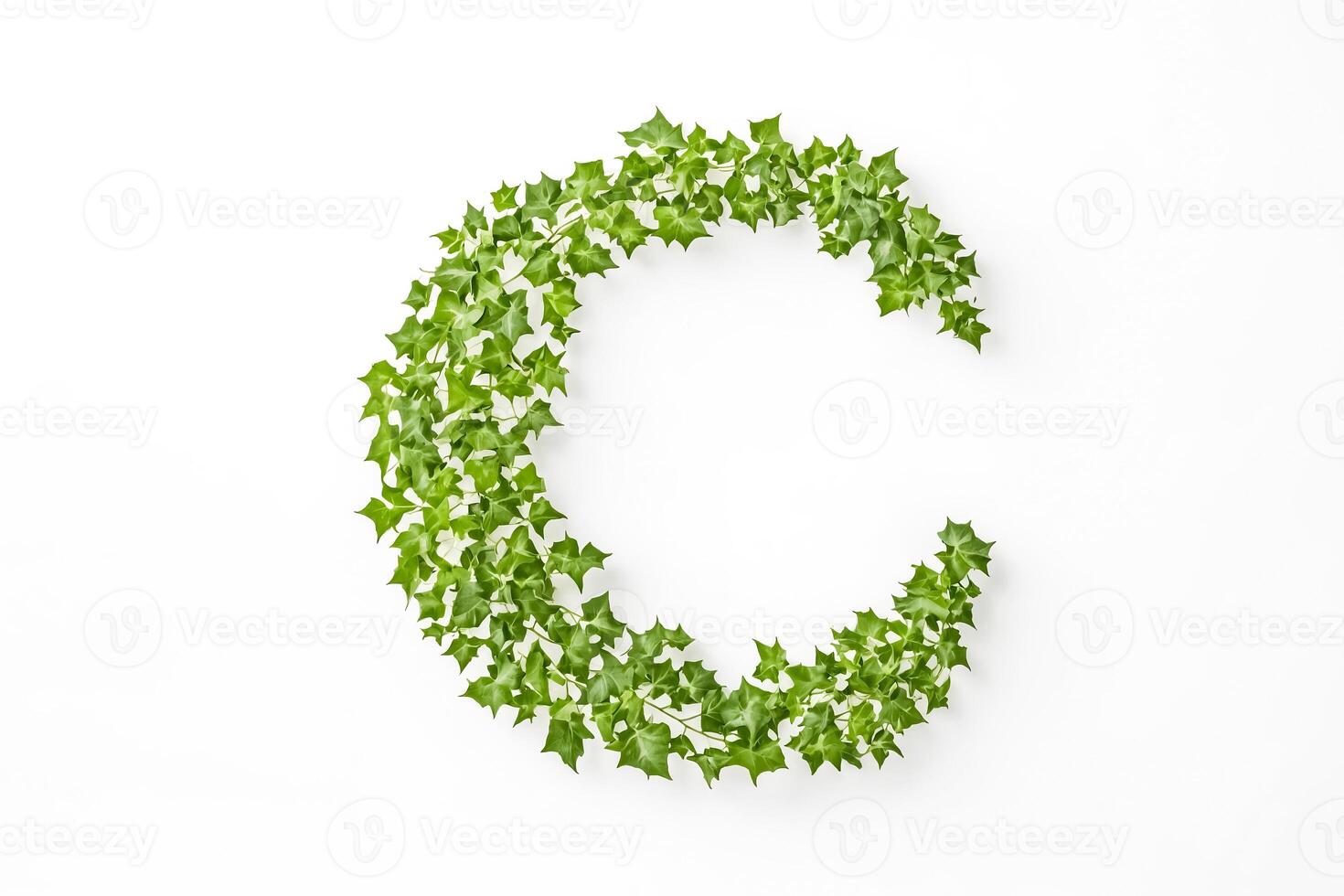 Green Ivy Leaves Forming The Letter C photo