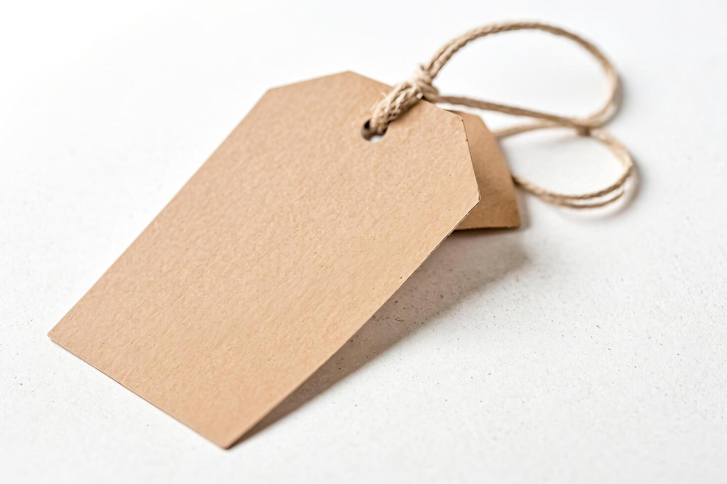 Blank Brown Paper Tag with Twine on White Background photo