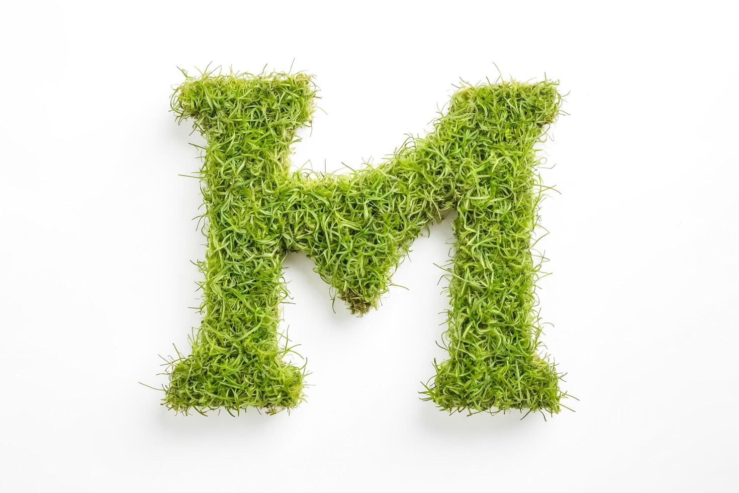 Green grass letter M photo