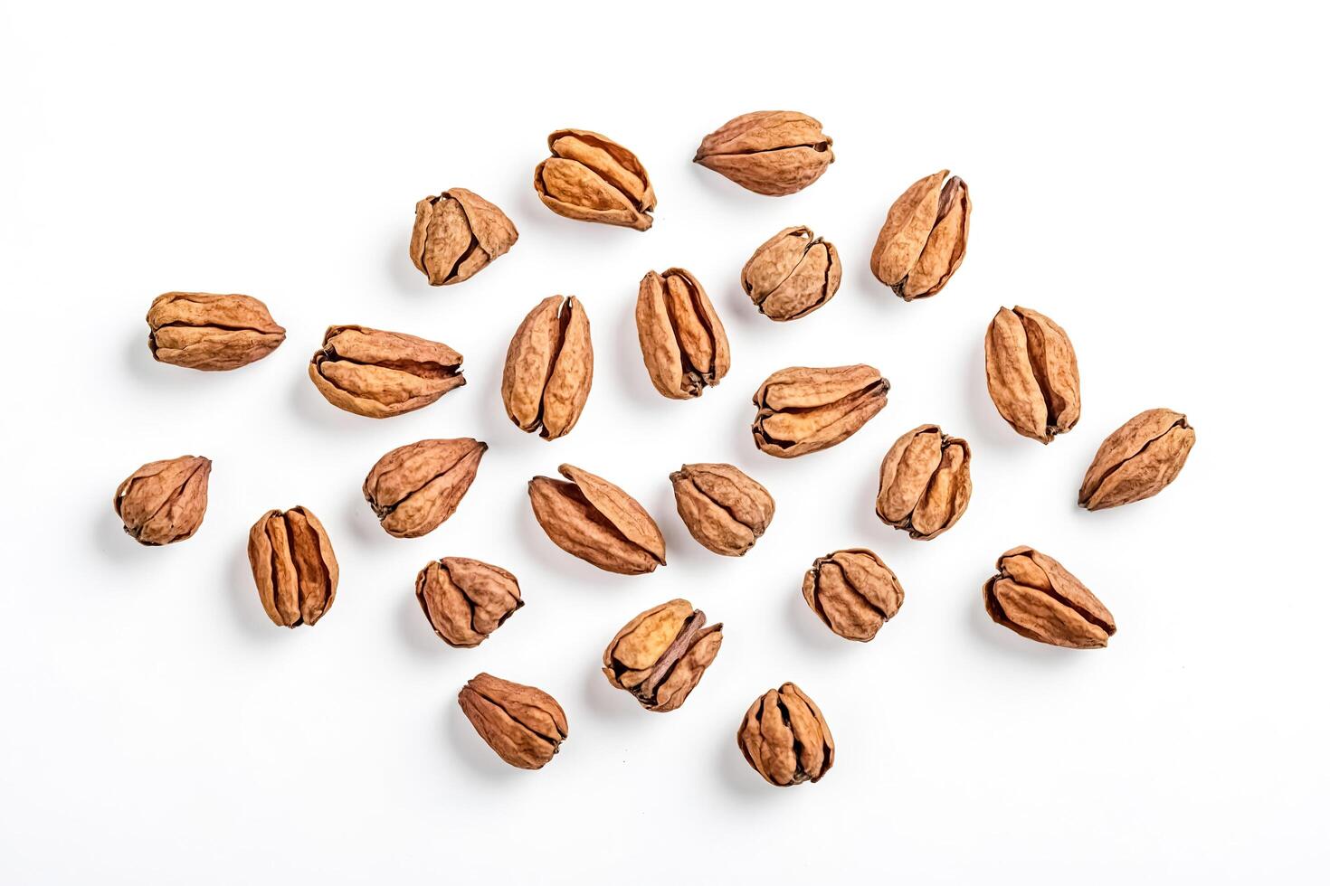 Dried Pecan Shells Isolated on White Background photo