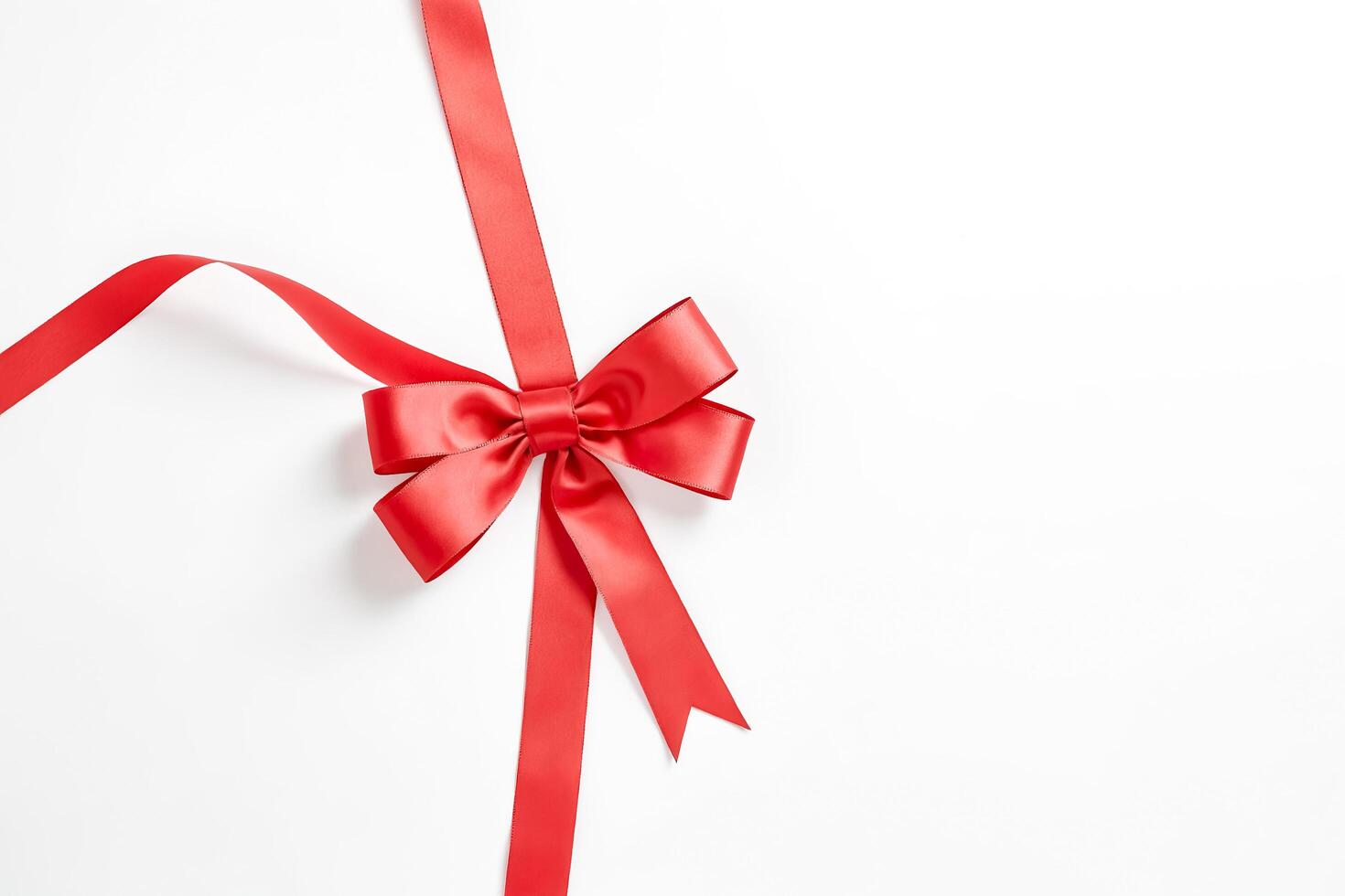 Red Bow on White Background photo