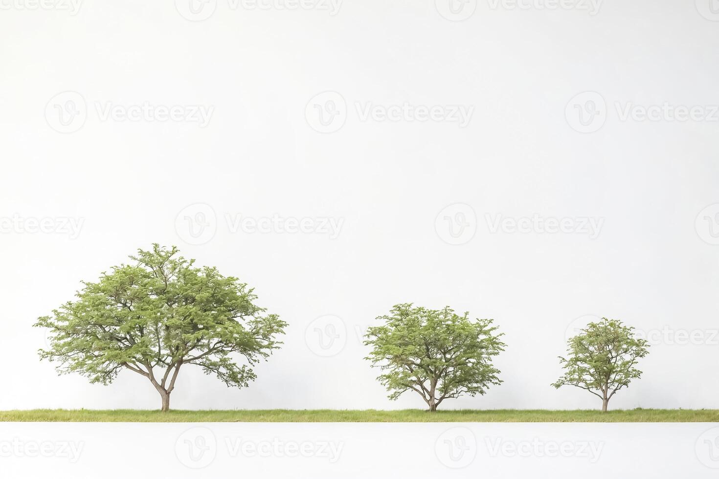 Minimalist Green Trees Against White Background photo