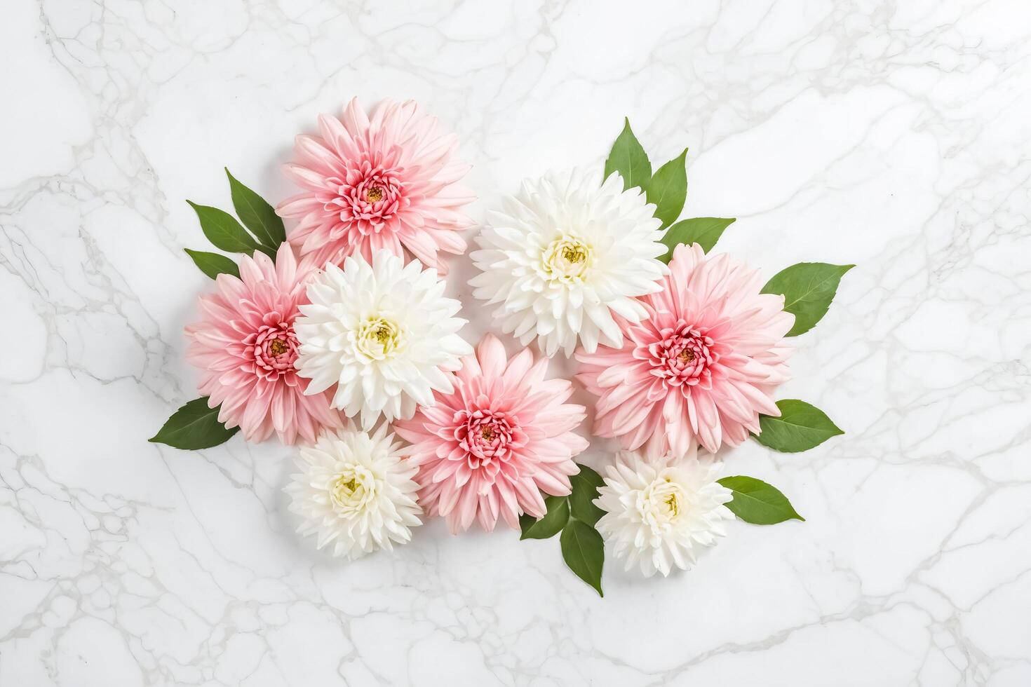 Delicate Pink and White Flowers on Marble Background photo