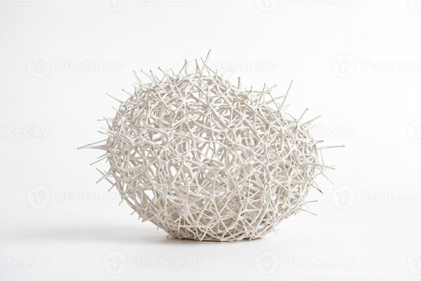 White Spiky Ball photo