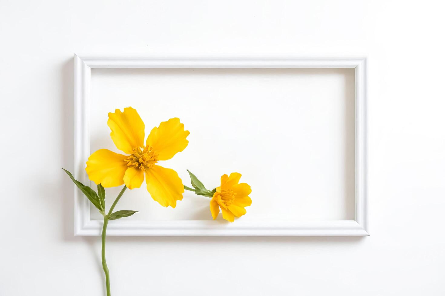 Yellow Flower Frame photo