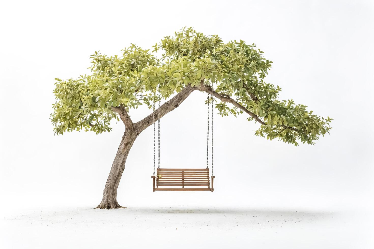 Swinging Under the Tree photo