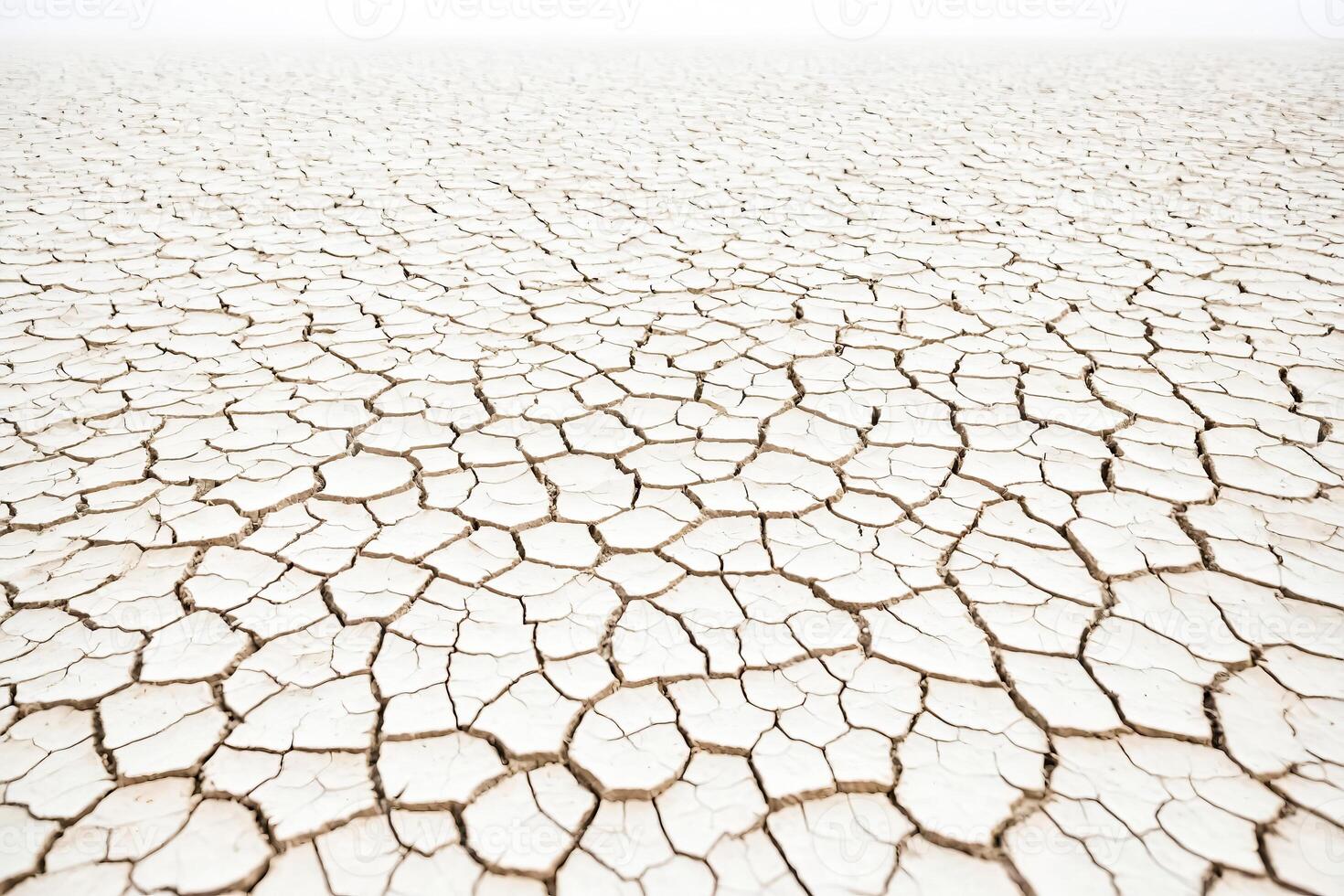 Cracked Earth in the Desert photo
