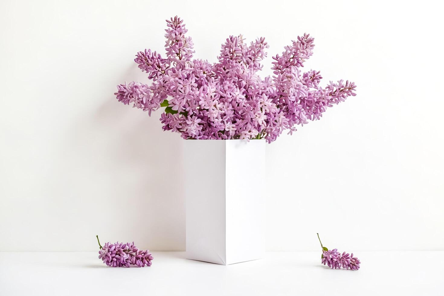 Lilac Flowers in a White Vase on a White Background photo