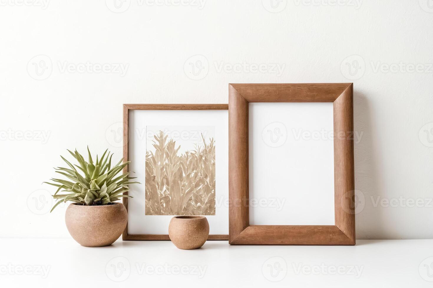 Empty Frame on a White Shelf with a Plant photo