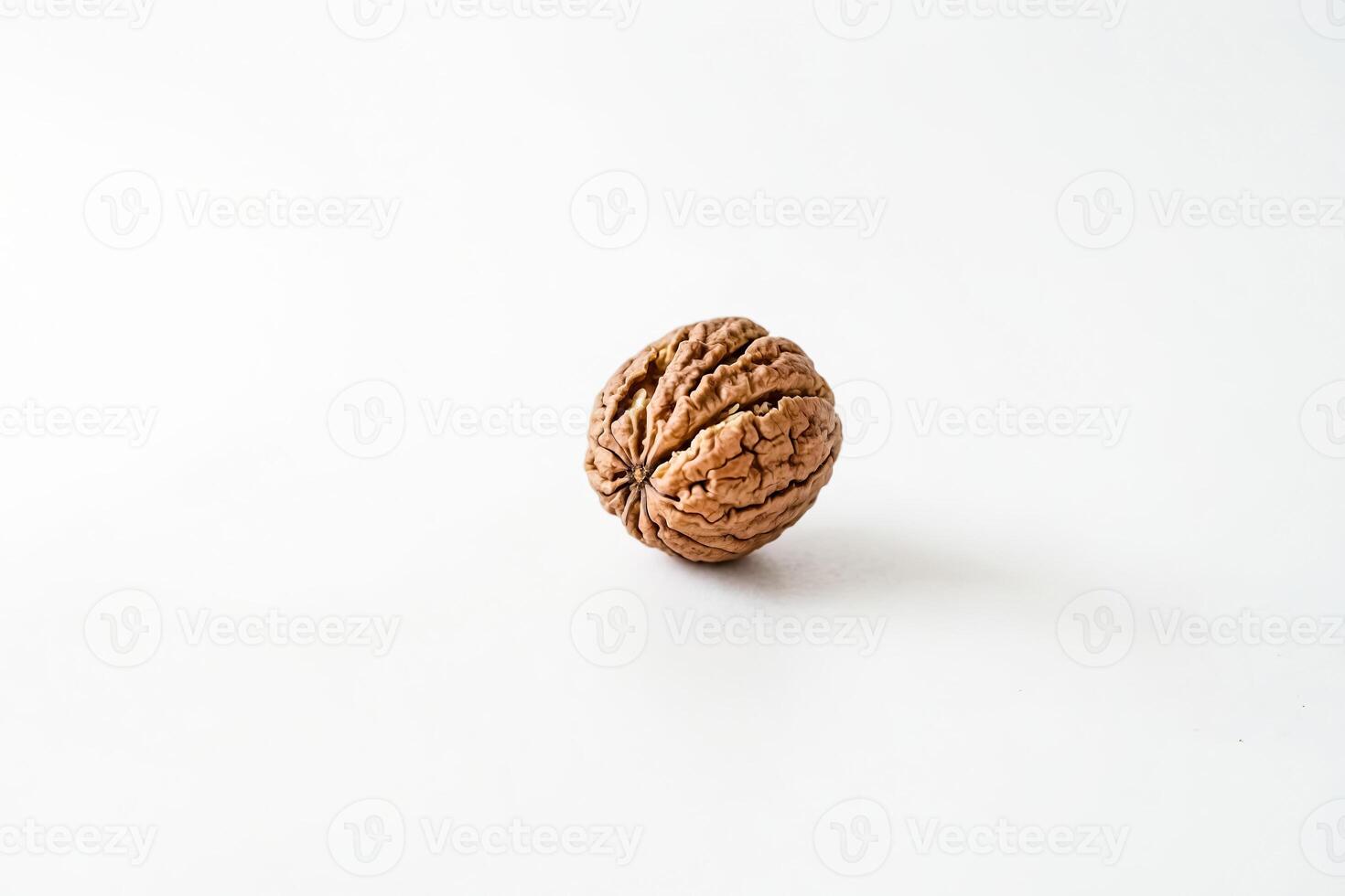 Walnut Shell Isolated on White Background photo
