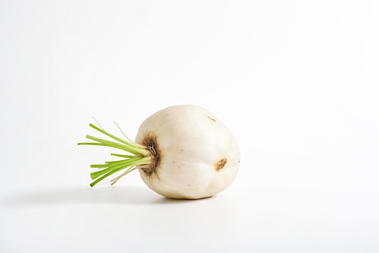Fresh white turnip with green sprouts isolated on white background photo