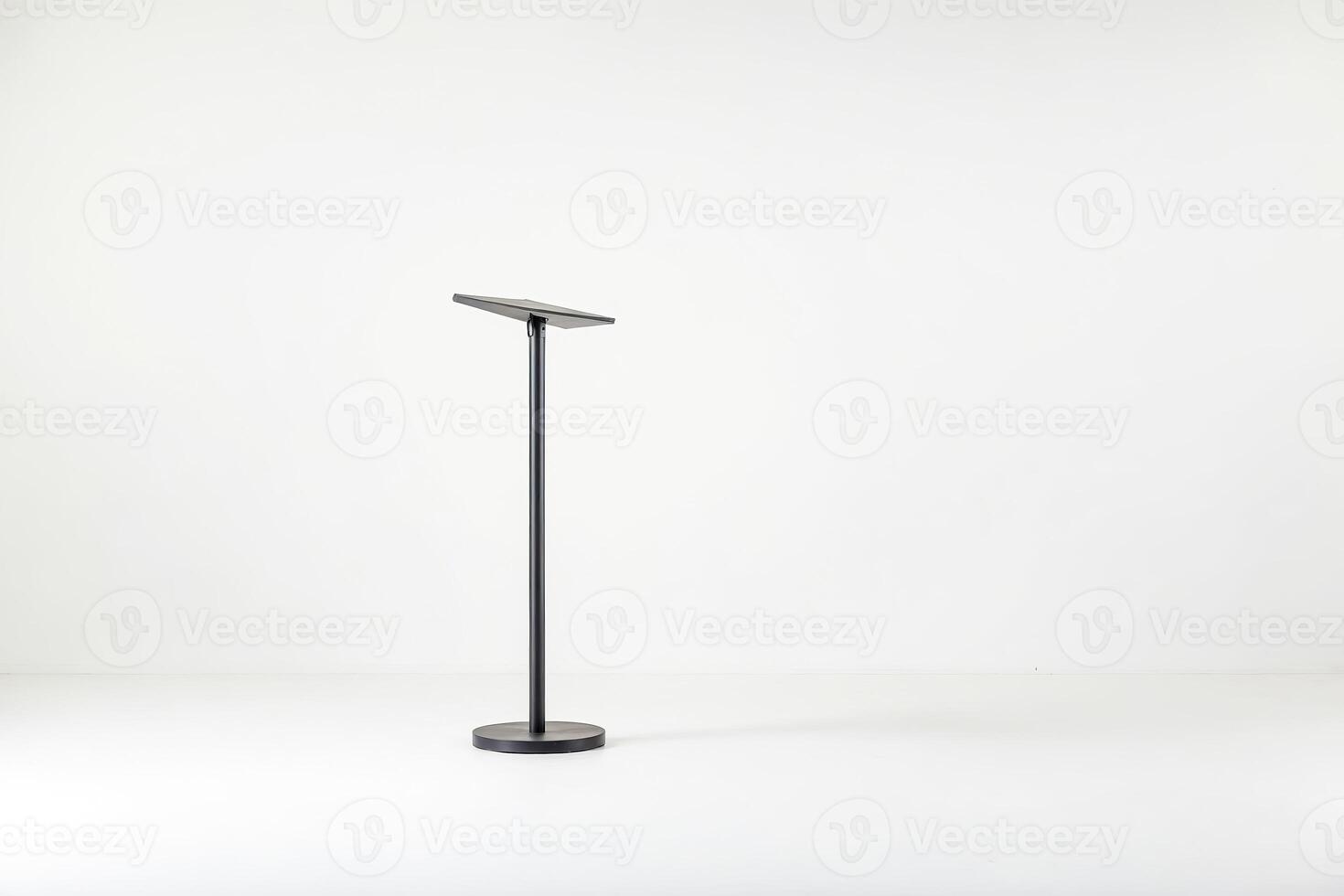 Modern Black Floor Lamp photo