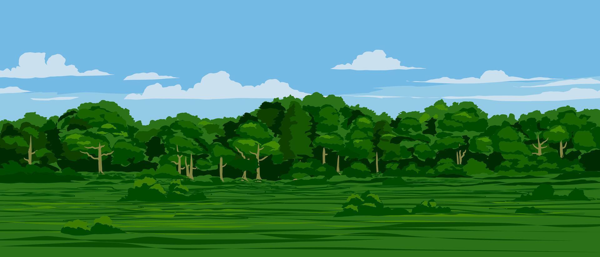 Woodland in sunny day. Summer forest landscape vector