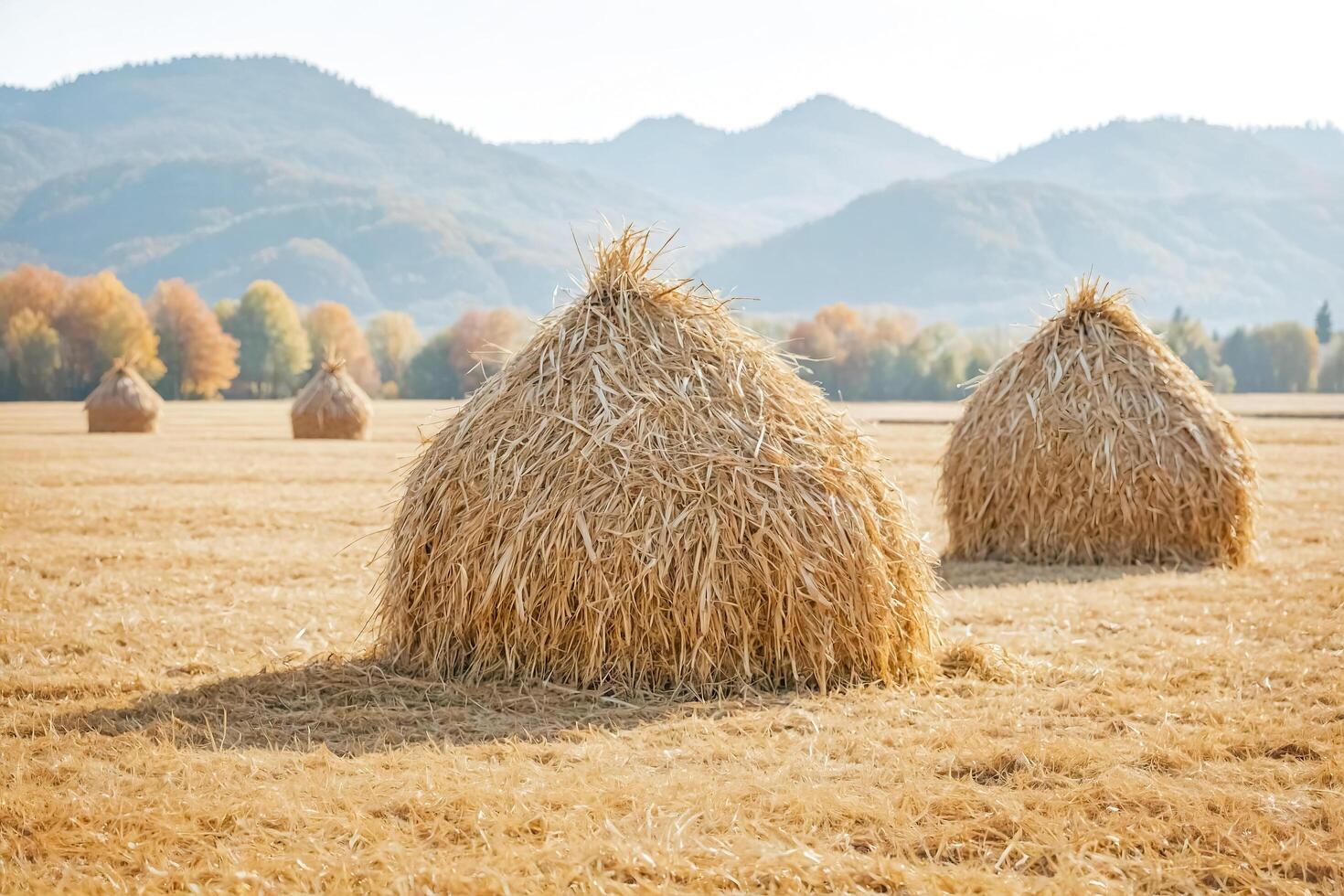 Hay Bales in a Field with Mountains in the Background photo