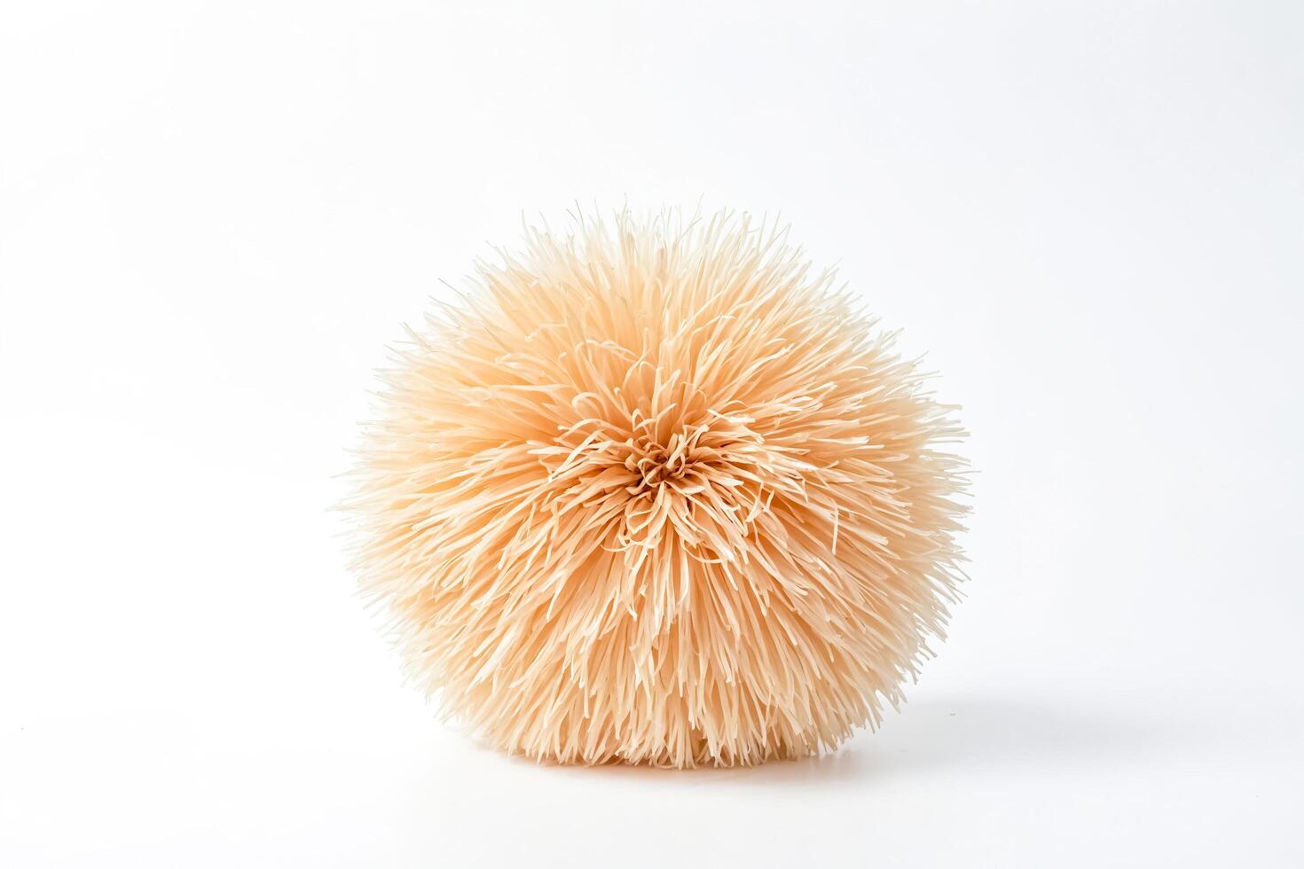 Fluffy, Textured, Beige Sphere photo