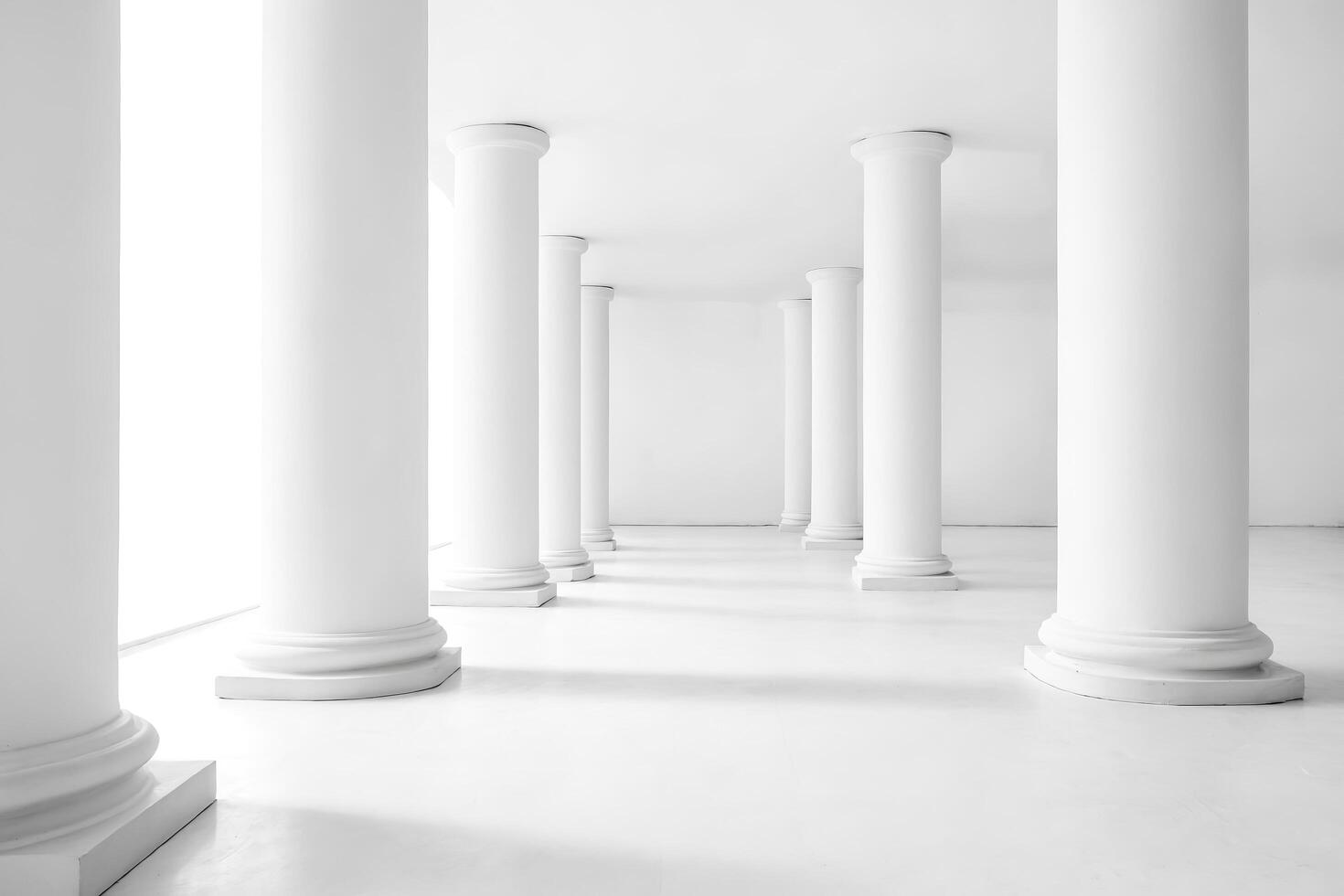 White Columns in a White Room photo