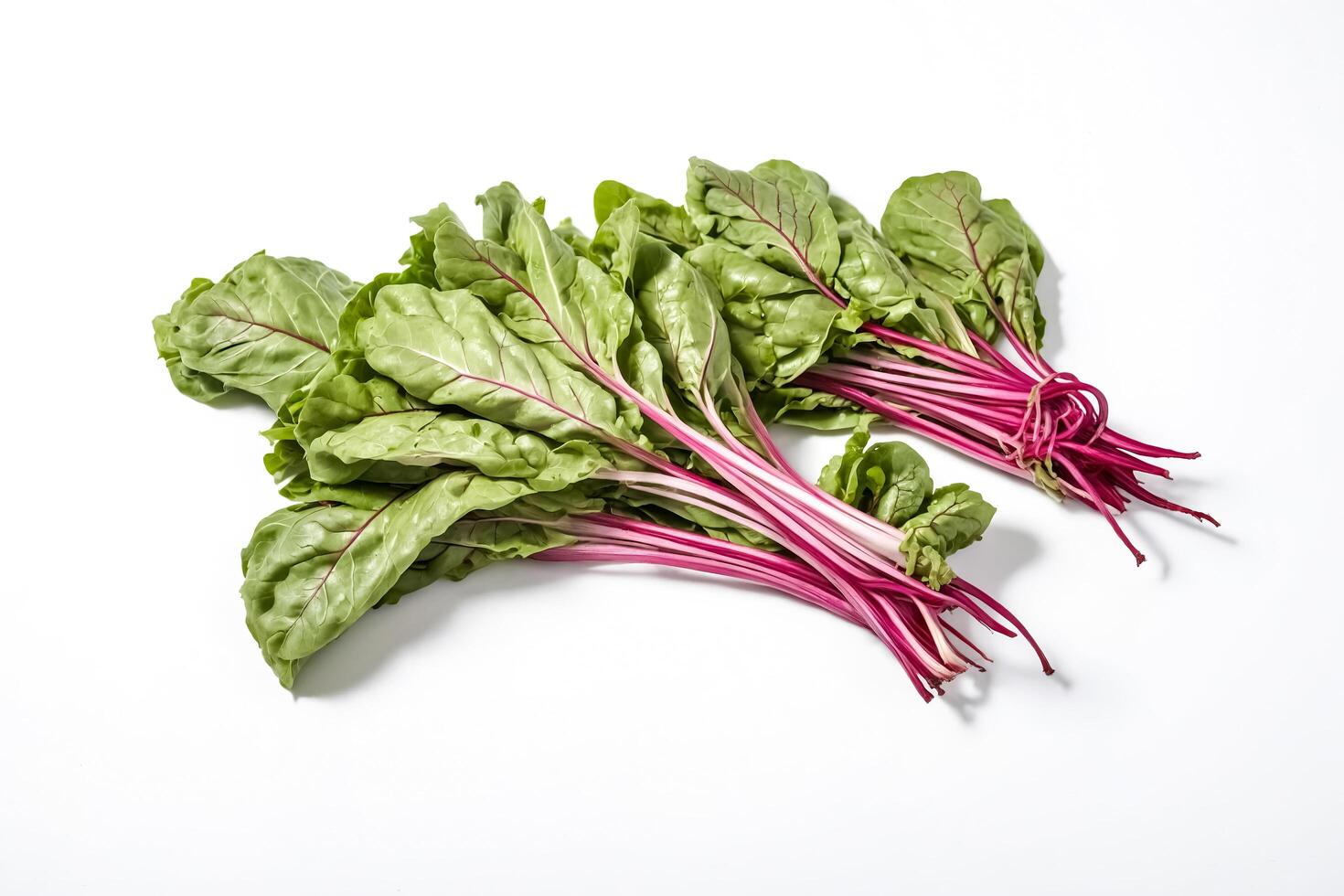 Fresh Green Swiss Chard with Vibrant Pink Stalks photo