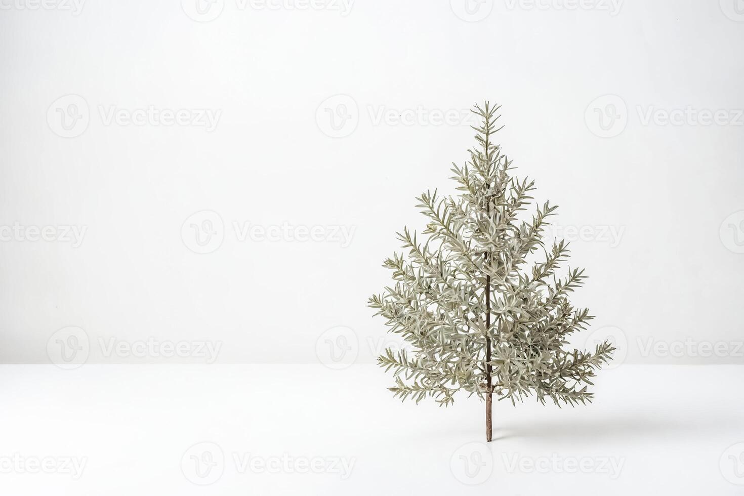 Minimalist Christmas Tree on White Background photo