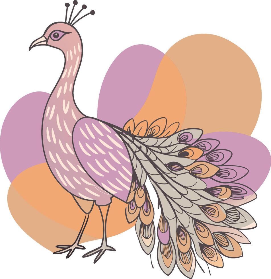 Monochrome peacock. Animal bird illustration, peafowl art design vector