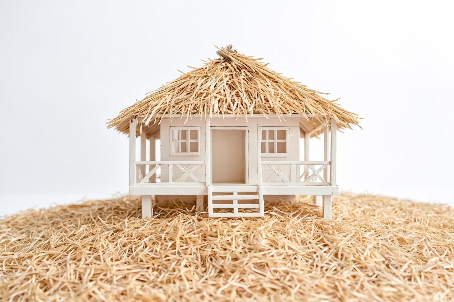 White House Model with Straw Roof on Straw Ground photo