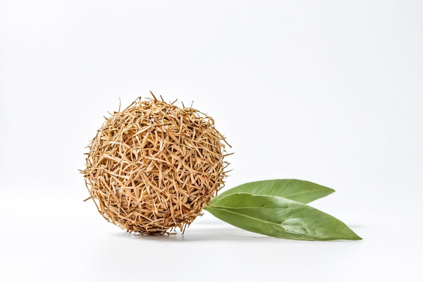 Dried Grass Ball and Green Leaves on White Background photo