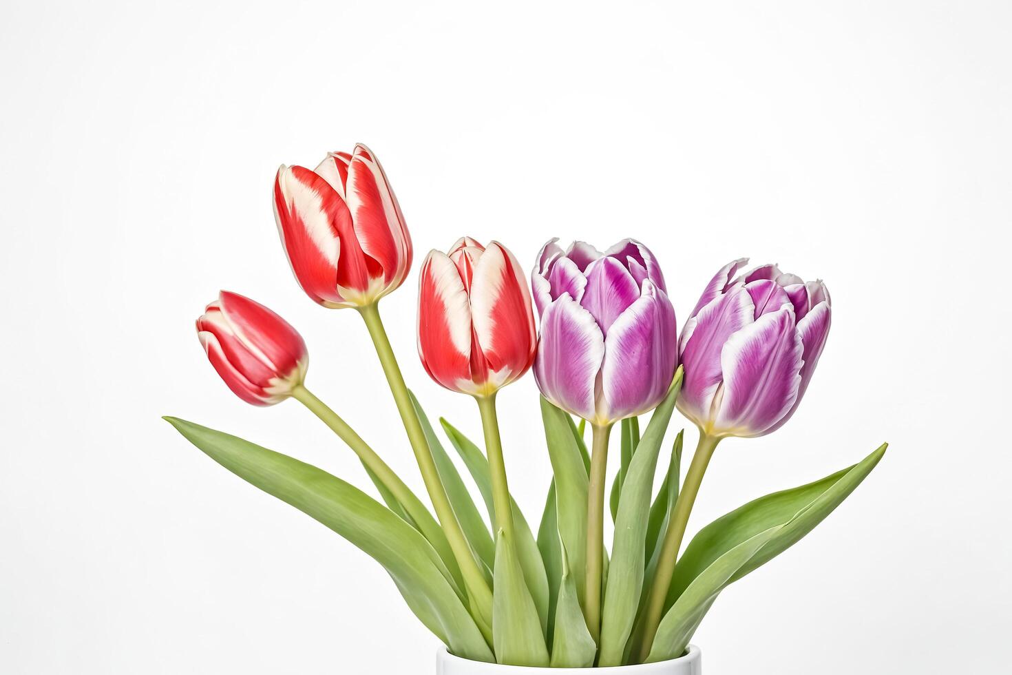 Close-up of Colorful Tulips in a Vase photo