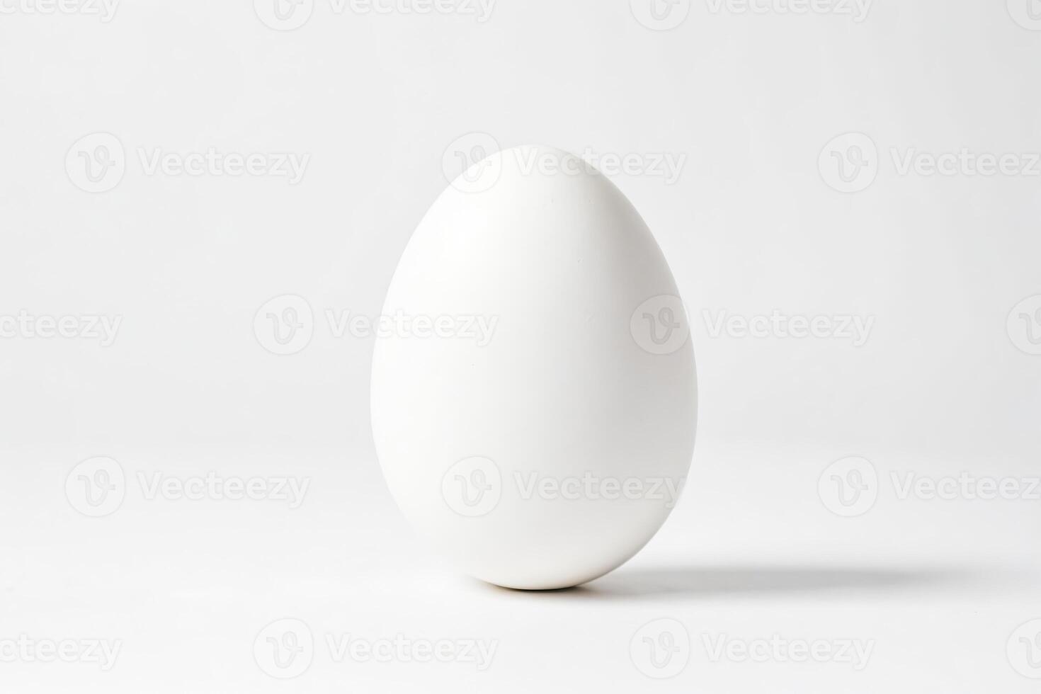 Single White Egg on White Background photo