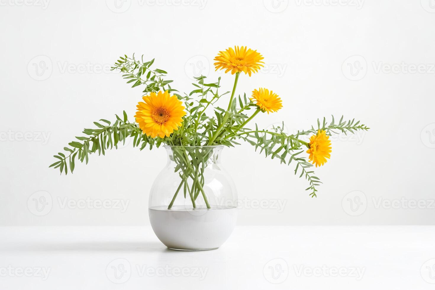 Yellow Flowers in a White Vase on a White Background photo