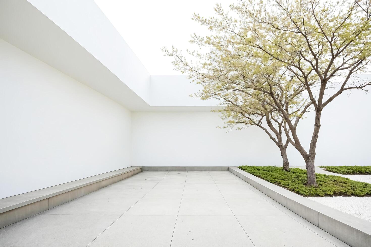 Minimalist Concrete Patio with Tree and White Gravel photo