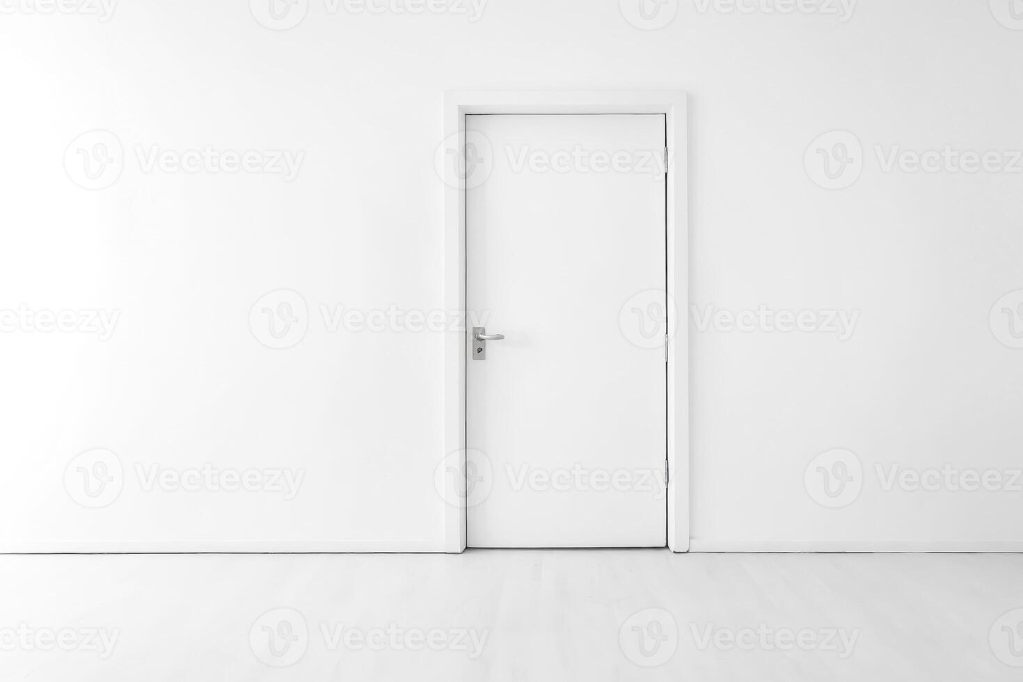 White Door in White Room photo