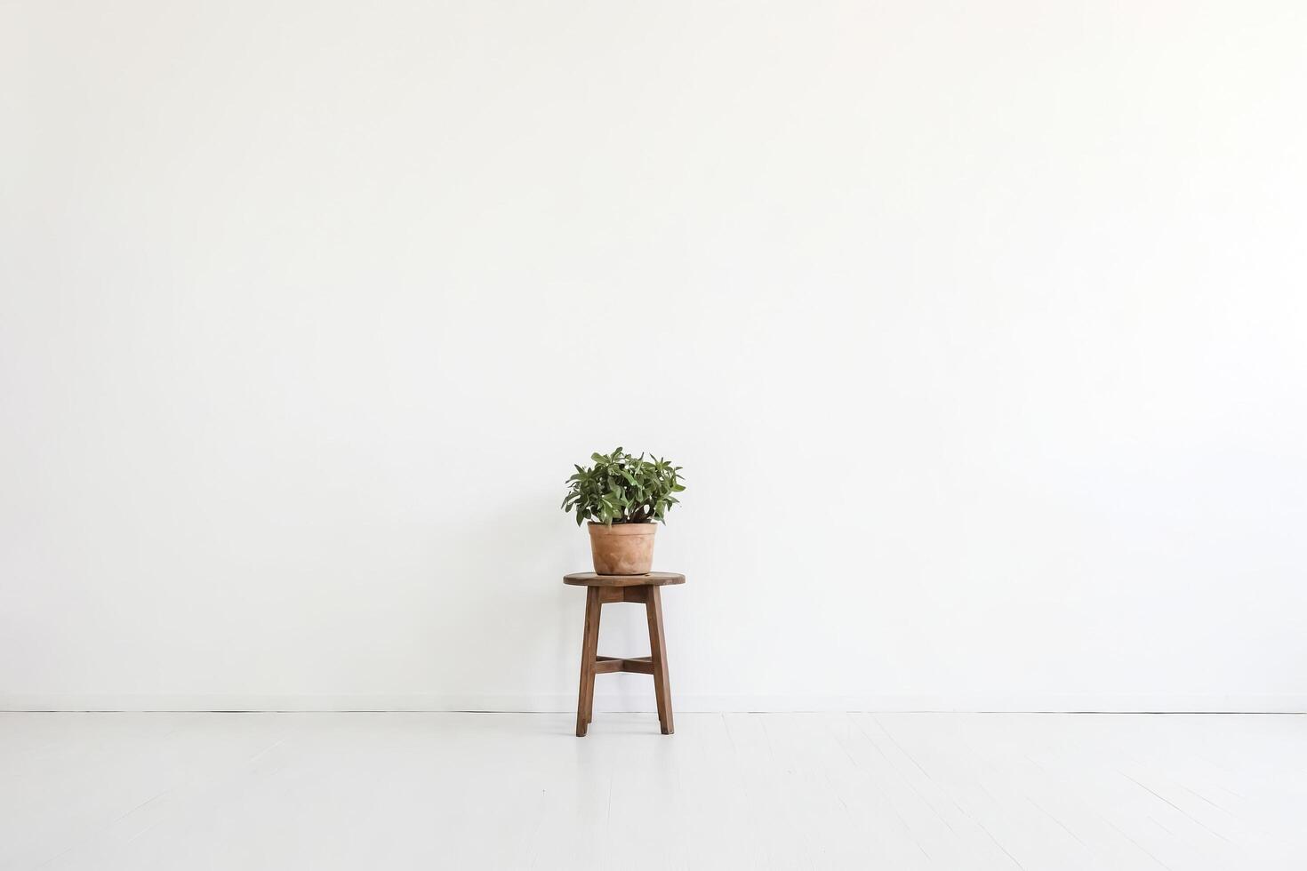 Simple Minimalist Interior Design with Plant and Stool photo