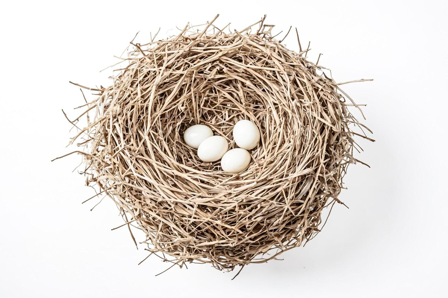Bird's Nest with Three Eggs photo