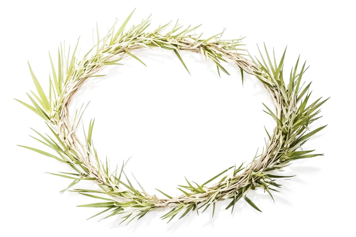 Green Leaf Wreath on White Background photo