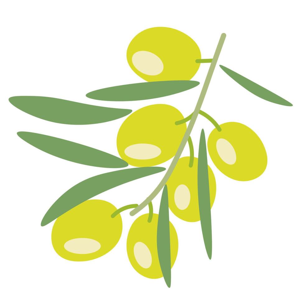isolated fruit in shape flat style vector