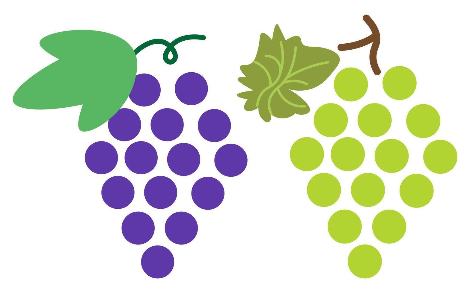 shape fruits set vector