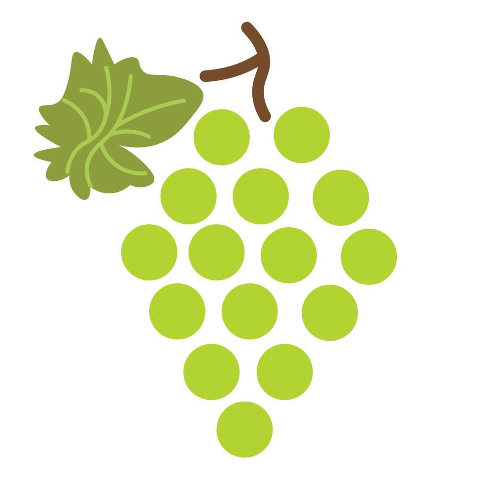 isolated fruit in shape flat style vector