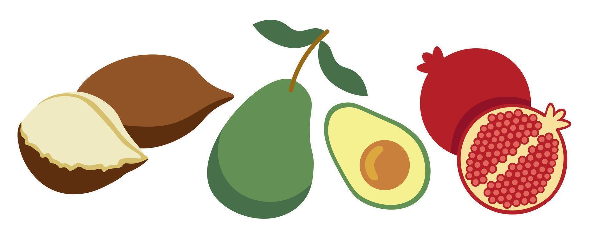shape fruits set vector