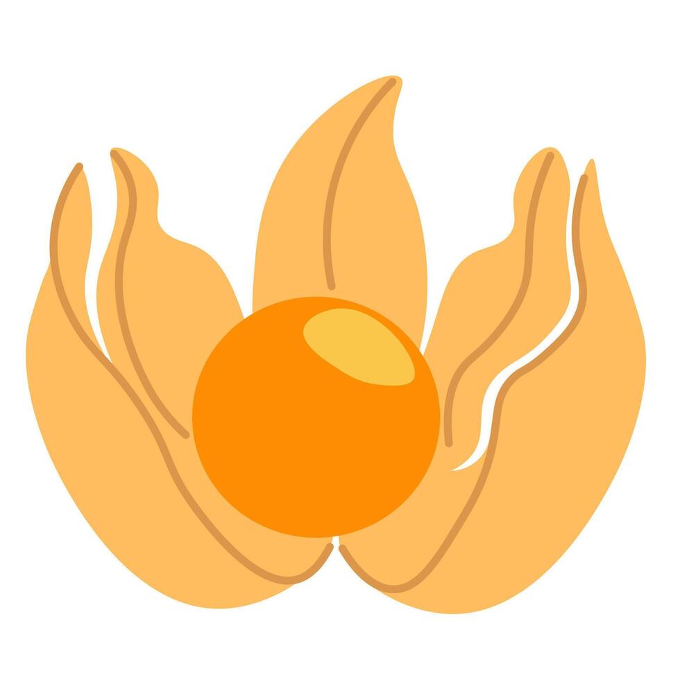 isolated fruit in shape flat style vector