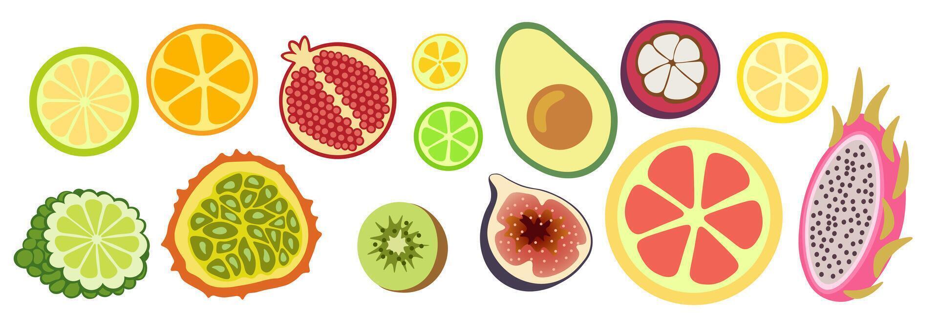 shape fruits set vector