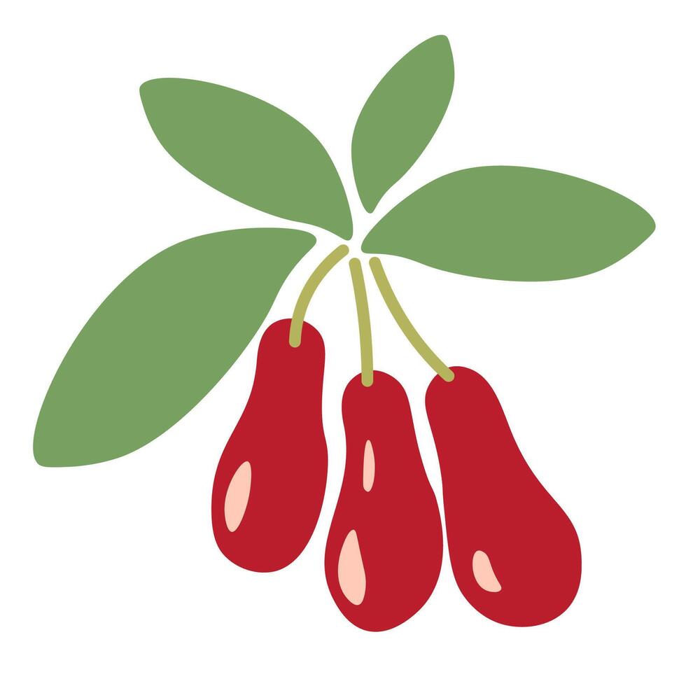 isolated fruit in shape flat style vector