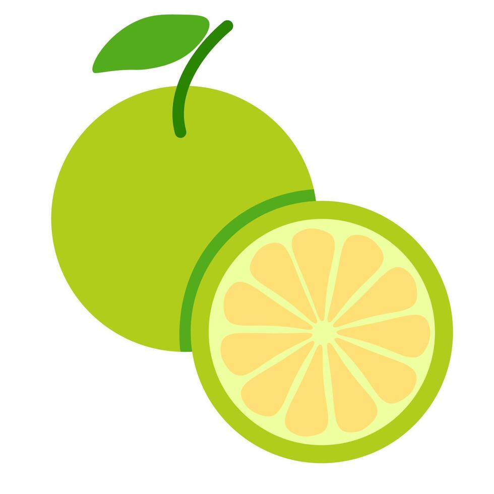 isolated fruit in shape flat style vector