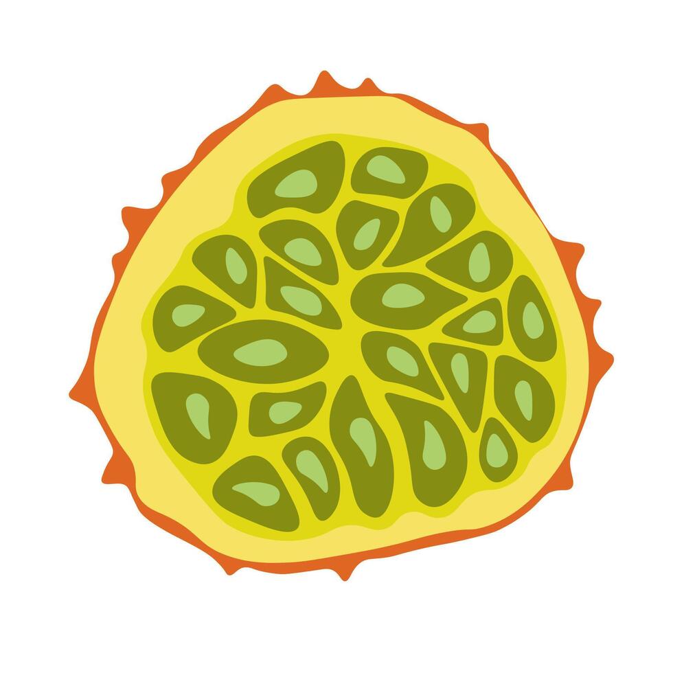 isolated fruit in shape flat style vector