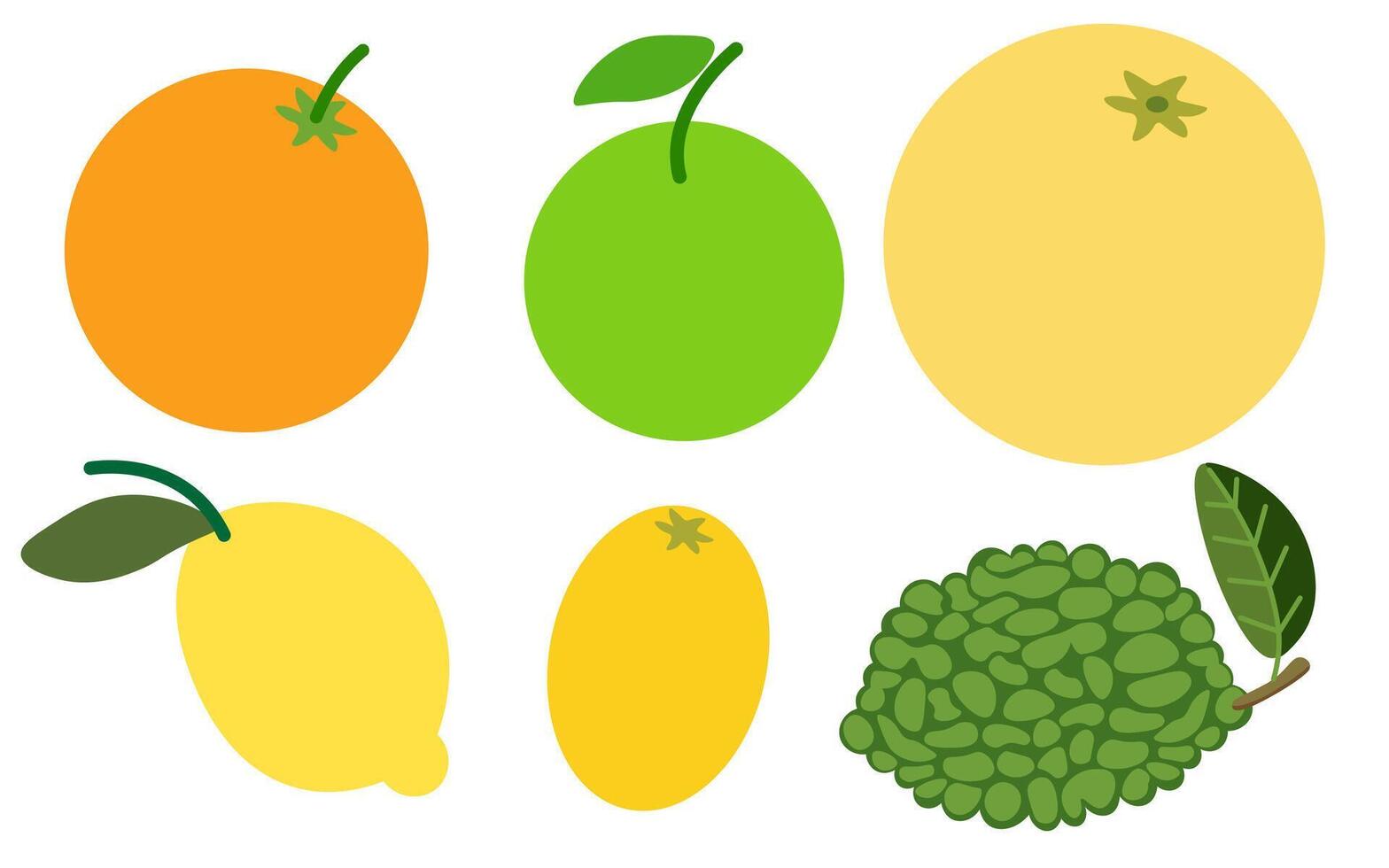 shape fruits set vector